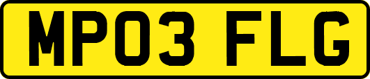 MP03FLG