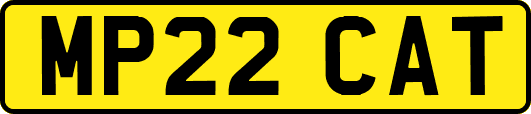 MP22CAT