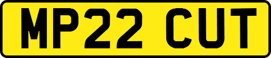 MP22CUT