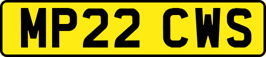 MP22CWS