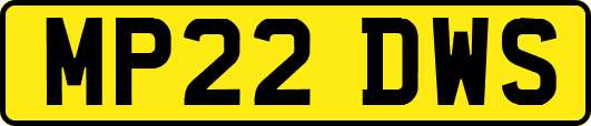 MP22DWS