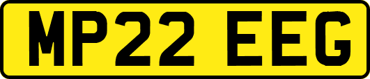 MP22EEG