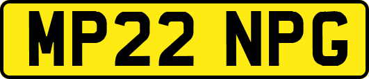 MP22NPG
