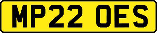 MP22OES