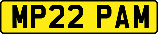 MP22PAM