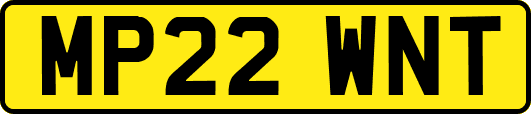 MP22WNT