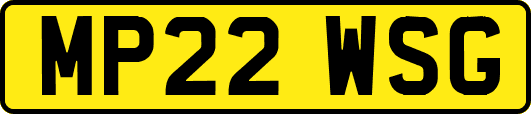 MP22WSG