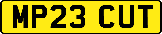 MP23CUT