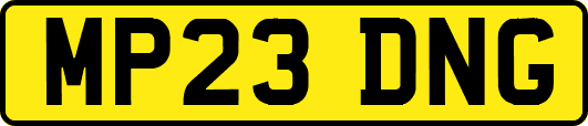 MP23DNG