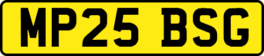 MP25BSG
