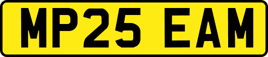 MP25EAM