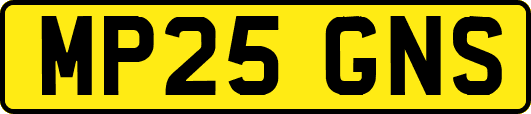 MP25GNS
