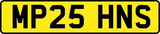 MP25HNS