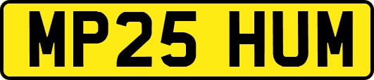 MP25HUM