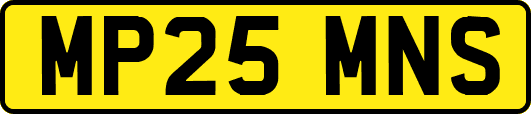 MP25MNS