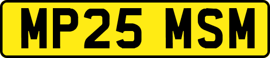 MP25MSM