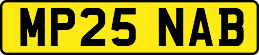 MP25NAB