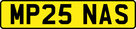 MP25NAS