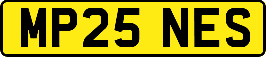 MP25NES