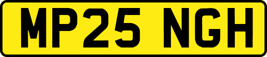 MP25NGH