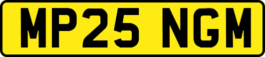 MP25NGM