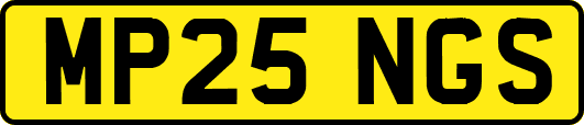 MP25NGS