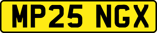MP25NGX