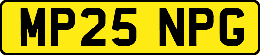 MP25NPG