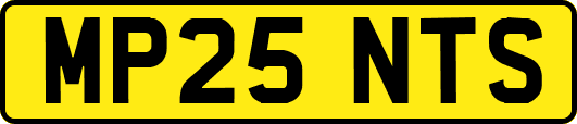 MP25NTS