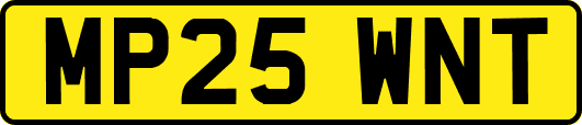 MP25WNT