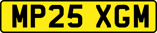 MP25XGM