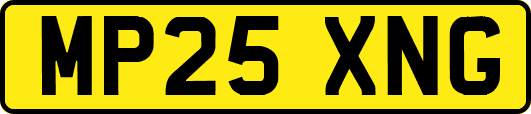 MP25XNG