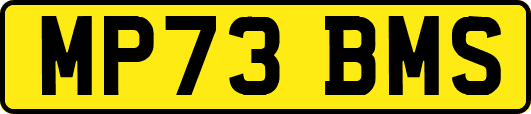 MP73BMS