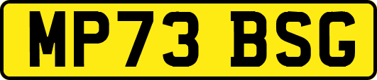 MP73BSG