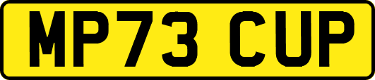MP73CUP