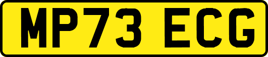 MP73ECG