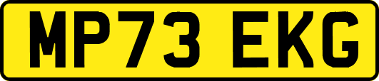 MP73EKG