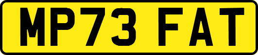 MP73FAT