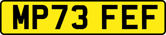 MP73FEF
