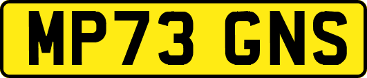 MP73GNS
