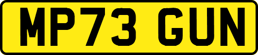 MP73GUN