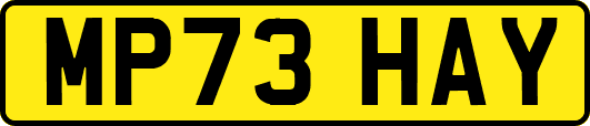 MP73HAY