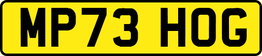 MP73HOG