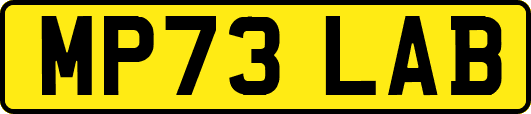 MP73LAB