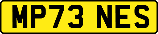 MP73NES