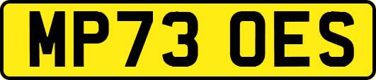 MP73OES