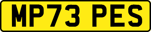 MP73PES