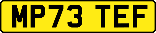 MP73TEF