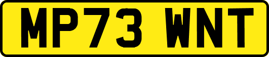 MP73WNT