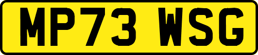 MP73WSG